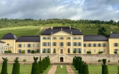 Private Tour of Château de La Chaize